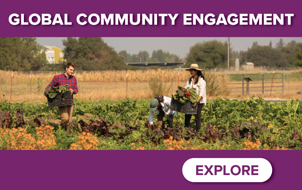 Homepage Teaser Image - Community Engagement Portal - UC Davis Study Abroad & UCEAP; Blum Funded Opportunities; Global Learning Projects; Virtual Opportunities; and more