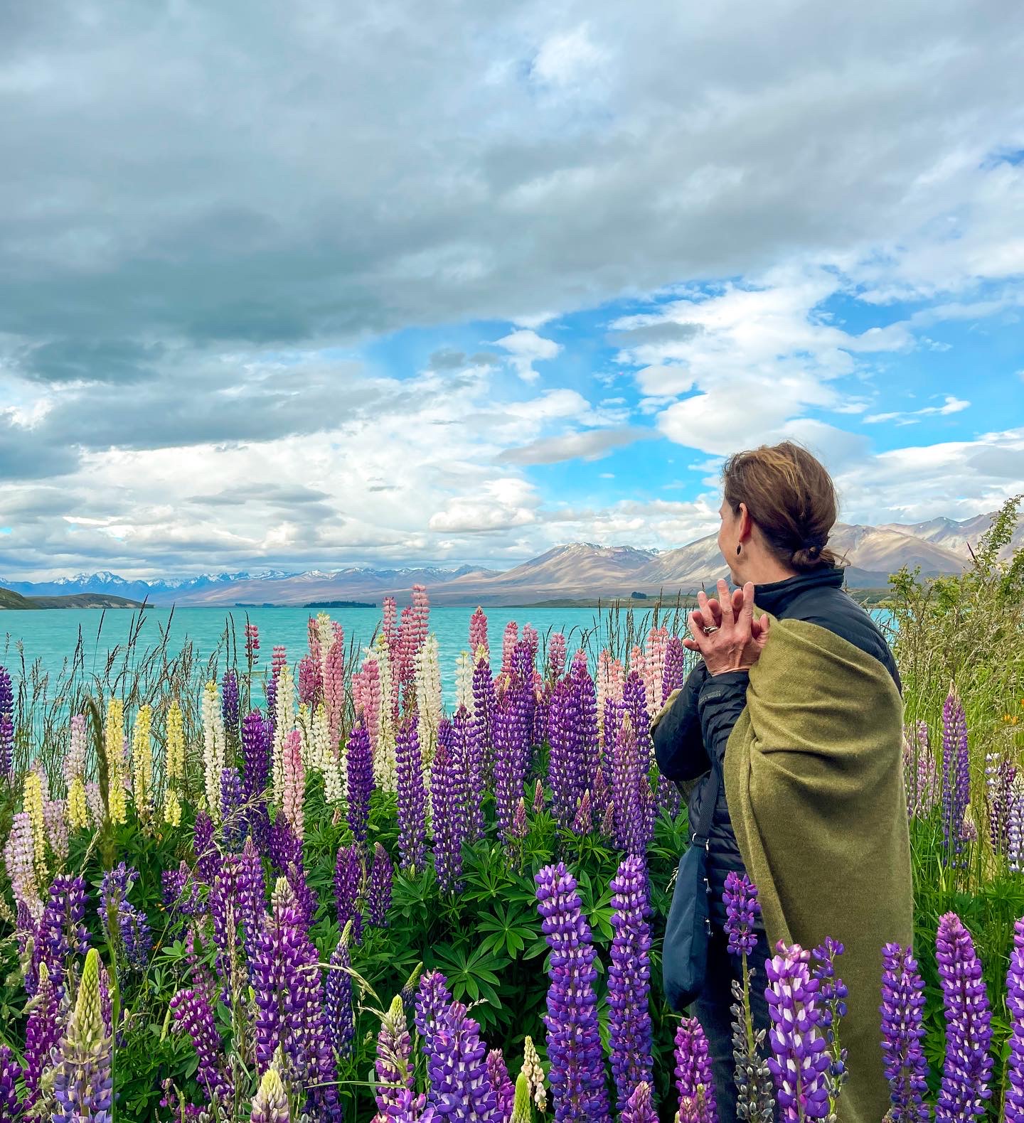 A woman looking out into a field of Lupines flowers