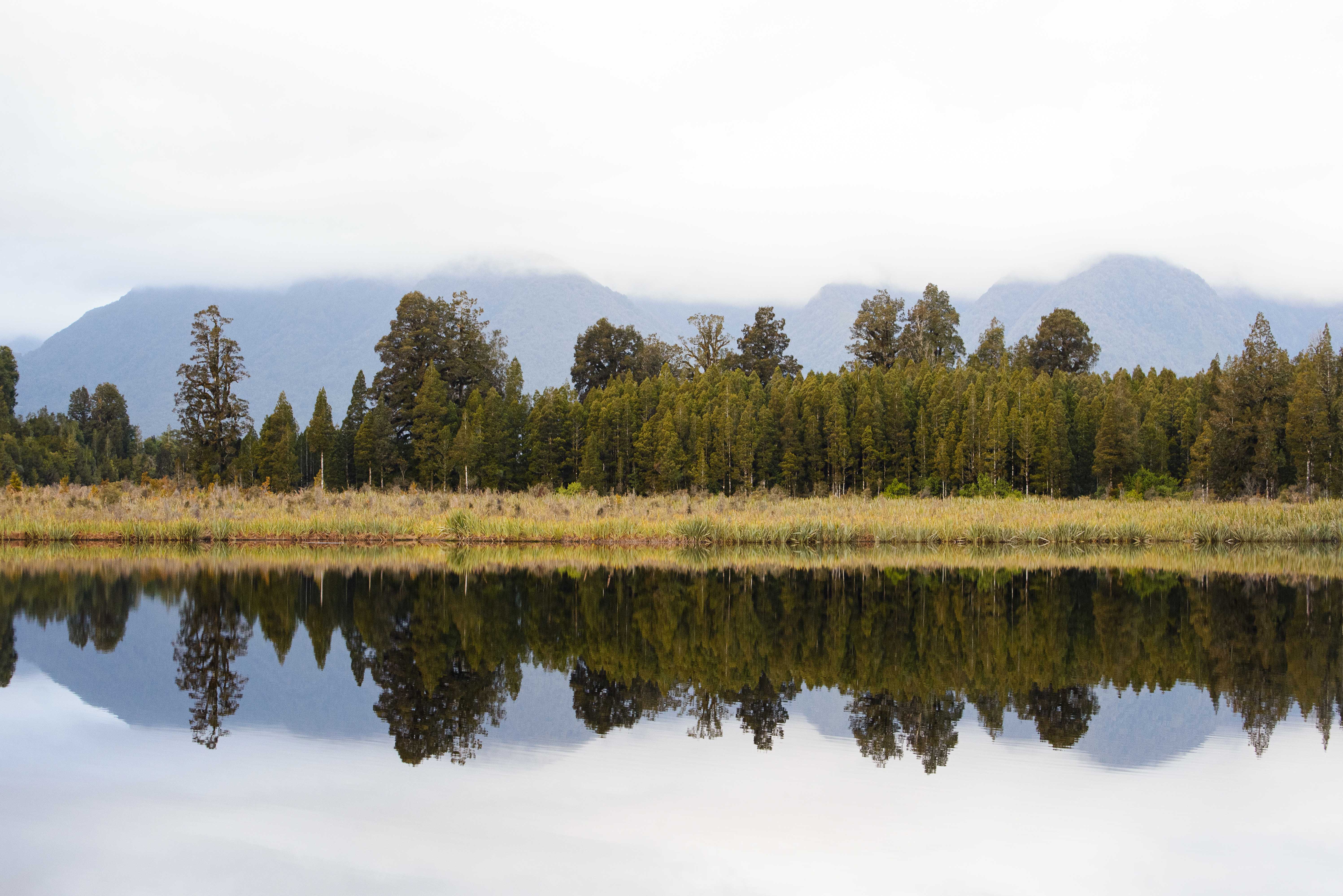 A photo of a row of trees with their reflection on a clear, glassy lake.