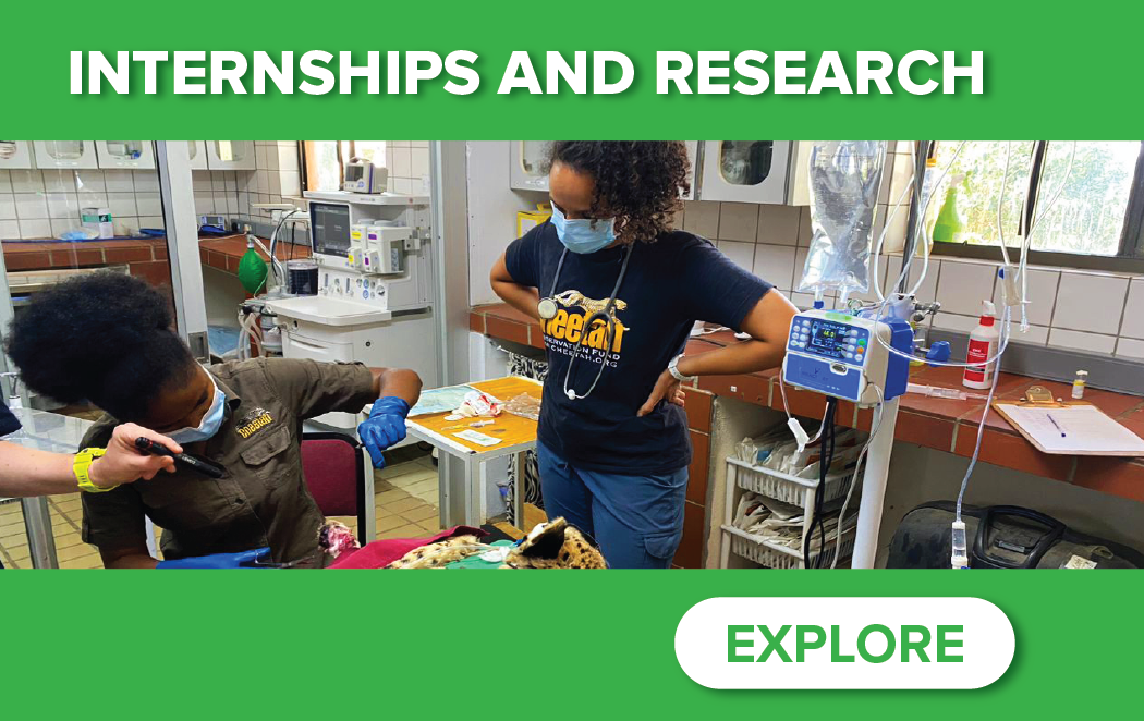 Homepage Teaser Image - Internships and Research Portal - UC Davis Internships Abroad and Away; Funded Internships; Research Internships; Virtual Internships; and more