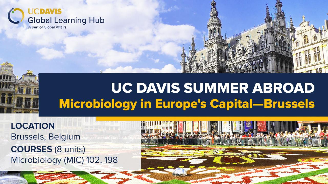 Graphic with text "UC Davis Summer Abroad Microbiology in Europe's Capital—Brussels"
