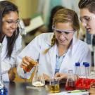 Header Image, Study Abroad in Chemical Engineering