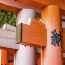 UC Davis Study Abroad, Quarter Abroad Japan, Language & Culture in Kyoto Program, Header Image, Overview Page