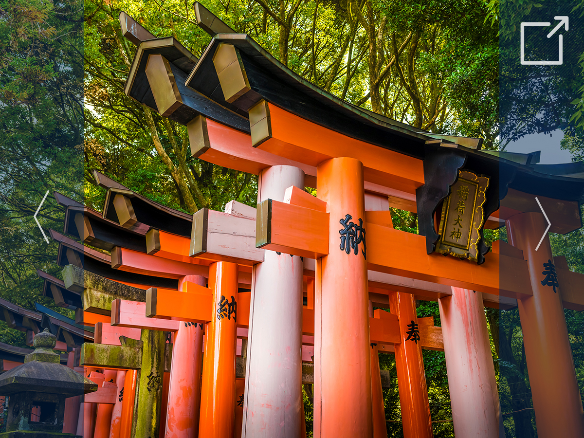 Photo Gallery - Quarter Abroad Japan