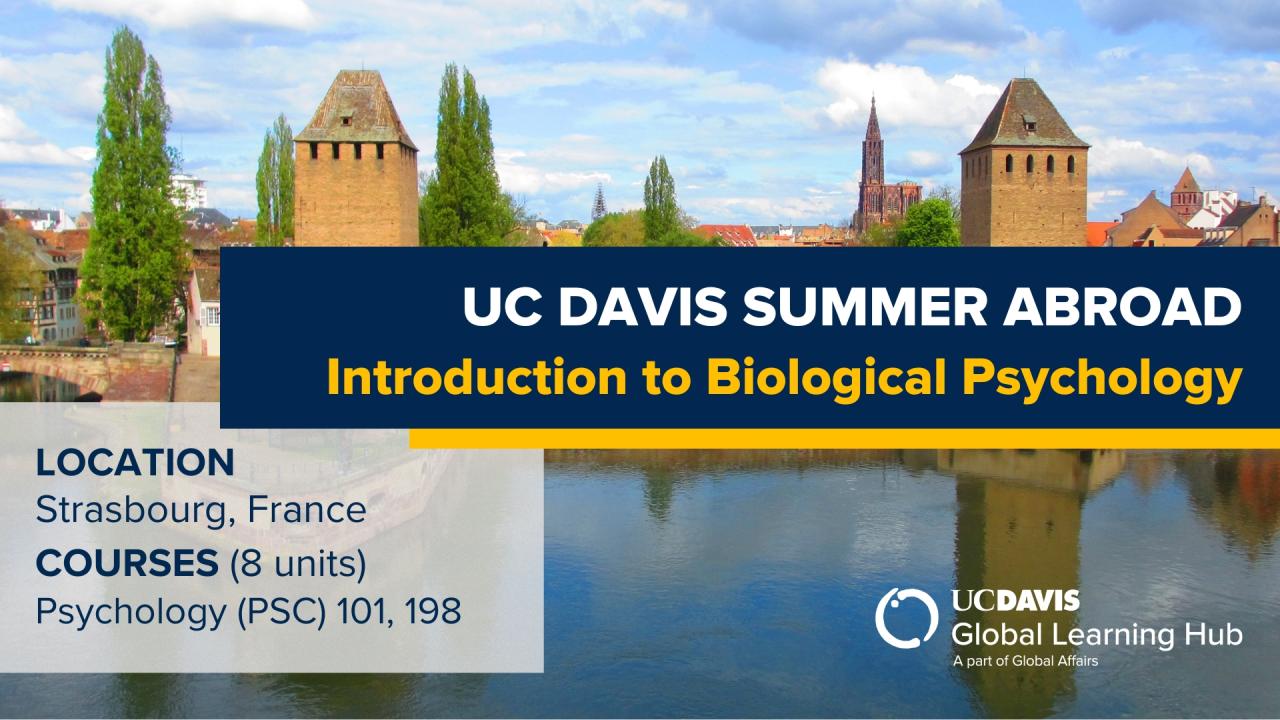 Banner for UC Davis Summer Abroad program offering an 'Introduction to Biological Psychology' in Strasbourg, France. Background shows a view of Strasbourg’s medieval towers and river. Program details include course options PSC 101 and 198, totaling 8 units, provided by UC Davis Global Learning Hub.