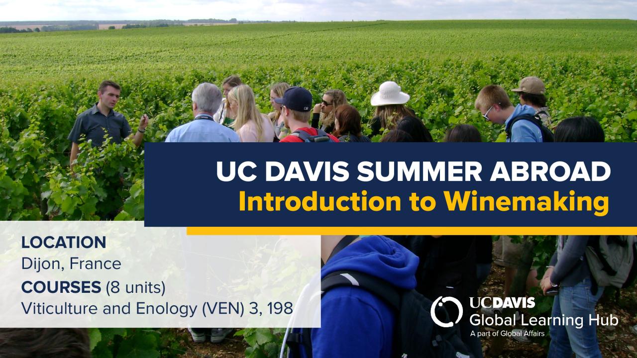 UC Davis Summer Abroad (Introduction to Winemaking)