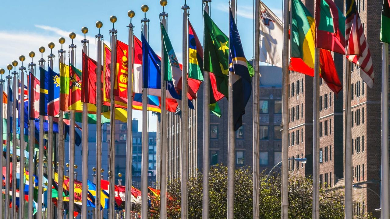 Images of a raw of flags in front of buildings