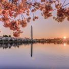 Header Image, Study Abroad in American Studies