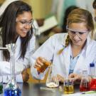 Header Image, Study Abroad in Biomedical Engineering