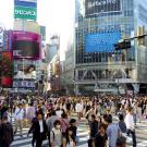 UC Davis Study Abroad, Summer Abroad Japan, Design Japan Abroad Program, Header Image, Overview Page