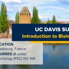 Banner for UC Davis Summer Abroad program offering an 'Introduction to Biological Psychology' in Strasbourg, France. Background shows a view of Strasbourg’s medieval towers and river. Program details include course options PSC 101 and 198, totaling 8 units, provided by UC Davis Global Learning Hub.
