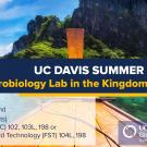 Graphic with text "UC Davis Summer Abroad Microbiology Lab in the Kingdom of Smiles"