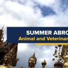 UC Davis Global Learning Hub banner promoting "Summer Abroad Internships: Animal and Veterinary Science Internships," displayed against a backdrop of golden temple spires and intricate Buddha statues under a partly cloudy sky