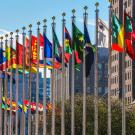 Images of a raw of flags in front of buildings