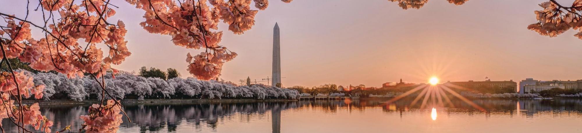 Header Image, Study Abroad in American Studies