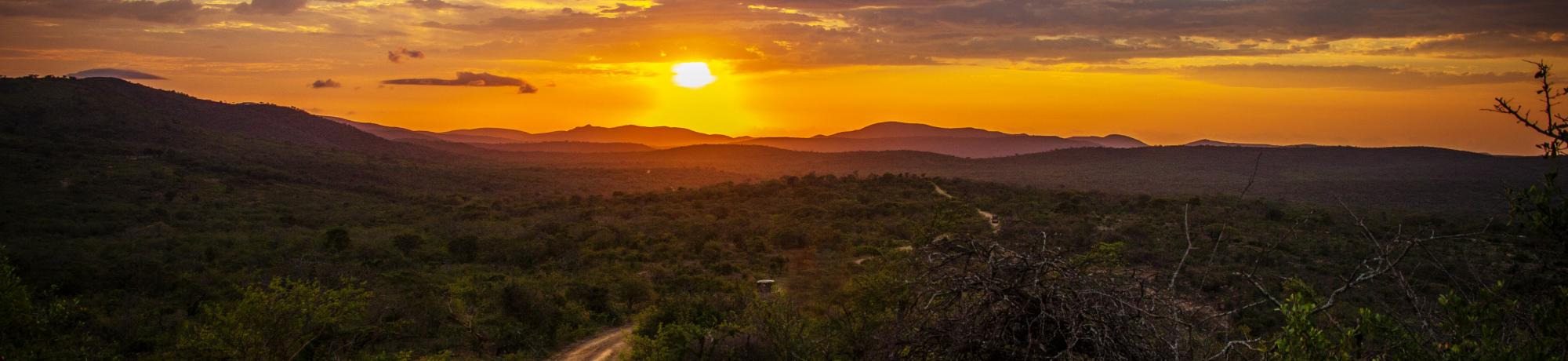 UC Davis Study Abroad, Summer Internship Abroad Ghana, Maternal Child Health & Social Determinants of Health Program, Header Image, Overview Page