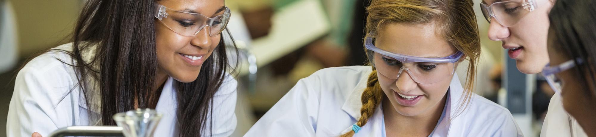 Header Image, Study Abroad in Biomedical Engineering