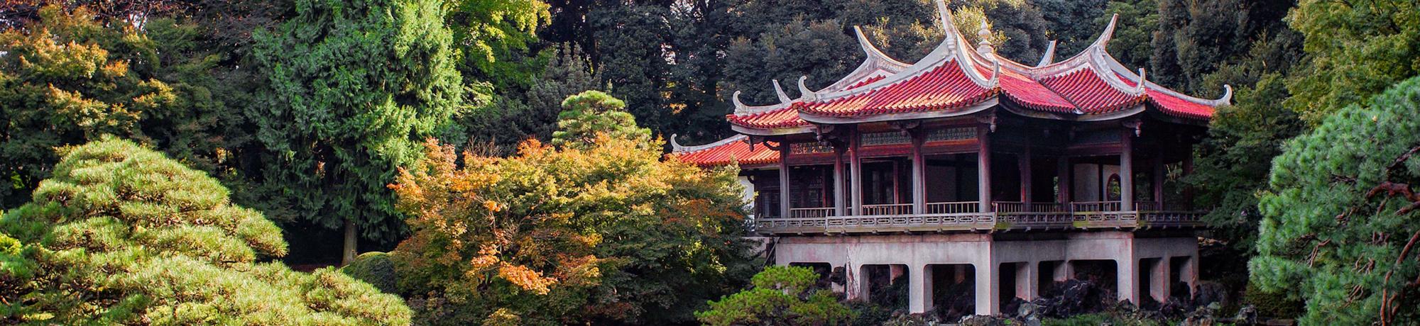 Header Image, Engineering Internships, Japan Program