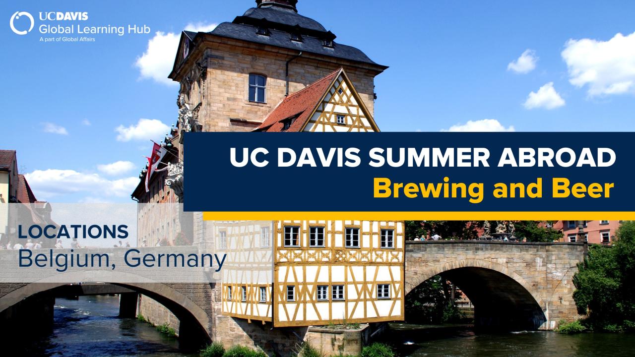 “UC Davis Global Learning Hub banner for the Summer Abroad program ‘Brewing and Beer,’ featuring locations in Belgium and Germany. The background shows a historic half-timbered building and stone bridge over a river under a bright blue sky.