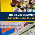 UC Davis Global Learning Hub banner for the Summer Abroad program ‘Agriculture and the Environment,’ located in Cali and Palmira, Colombia. The background shows colorful colonial-style buildings with bright yellow, blue, and orange walls and hanging flower baskets.
